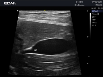 EDAN Acclarix AX2 VET