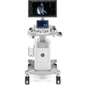 GE Vivid T8